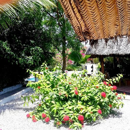Vanilla Villa Nungwi Ngoại thất bức ảnh
