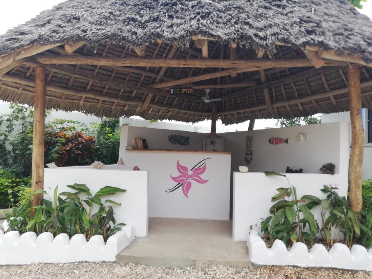 Vanilla Villa Nungwi Ngoại thất bức ảnh