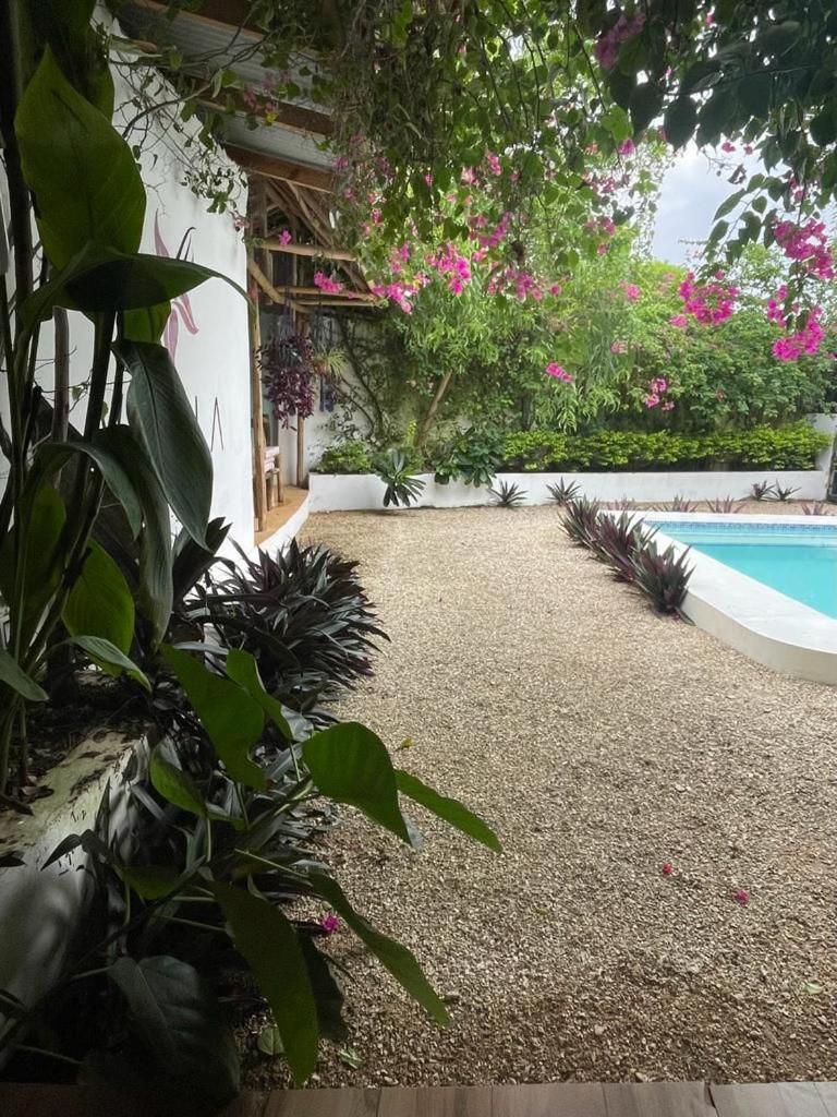 Vanilla Villa Nungwi Ngoại thất bức ảnh