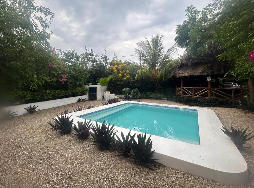 Vanilla Villa Nungwi Ngoại thất bức ảnh
