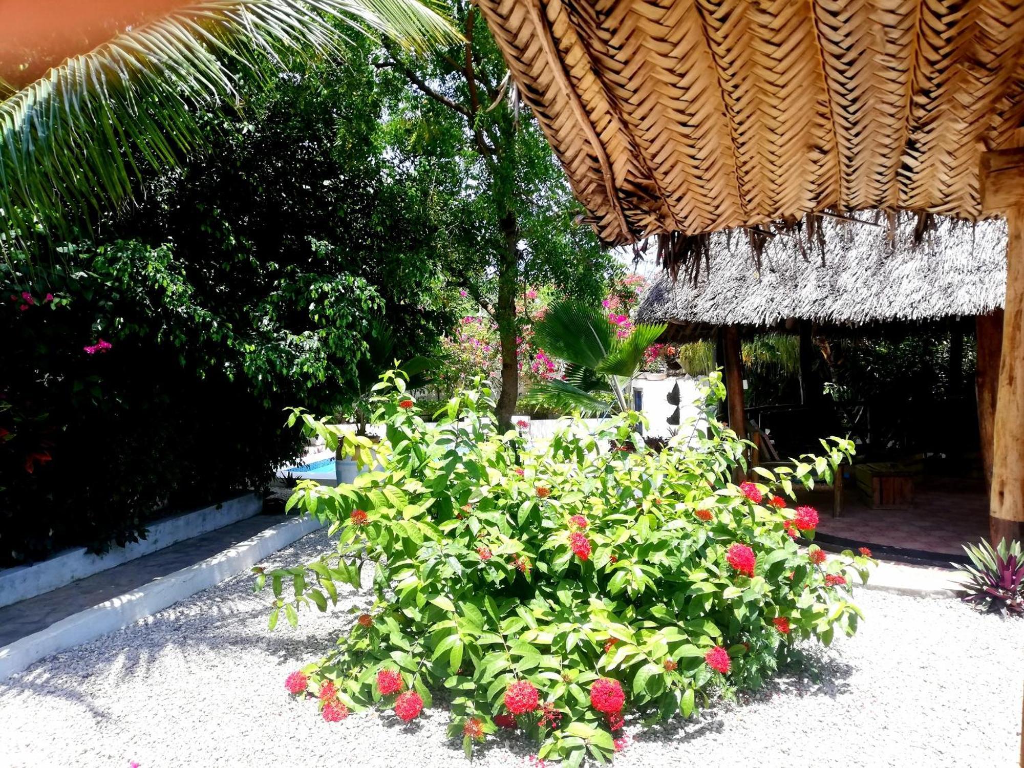 Vanilla Villa Nungwi Ngoại thất bức ảnh